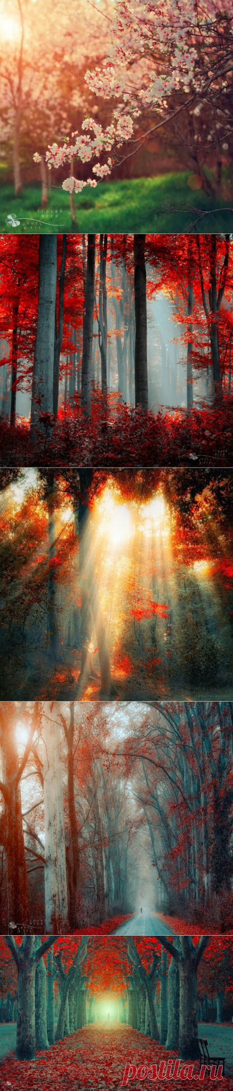 Сказочная страна. Ildiko Neer (фотографии)