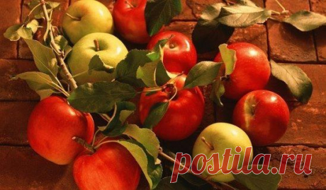 (99+) Одноклассники