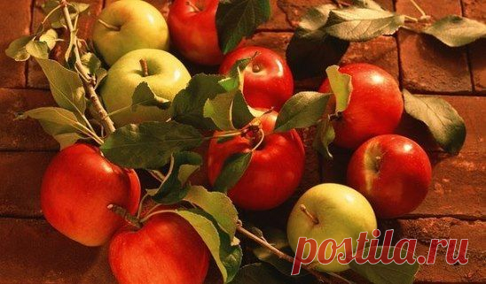 (99+) Одноклассники