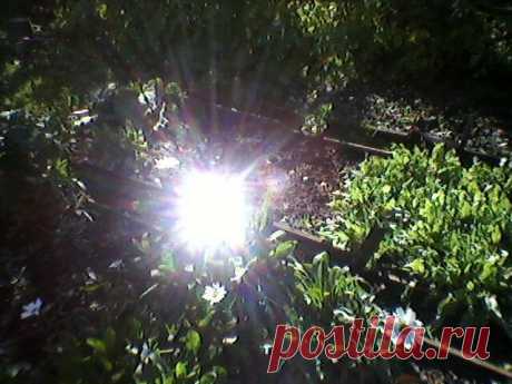 solnce v vedre