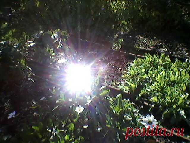 solnce v vedre