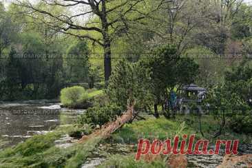 Scenic view of Japanese garden in Moscow (2013 год) Редакционное фото, фотограф Ilaronsia / Фотобанк Лори