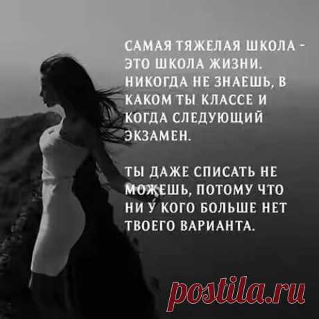 (3) Facebook