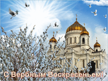 Красивое Поздравление с Вербным Воскресеньем!