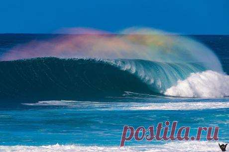 Стихия воды в 50 фотографиях знаменитого фотографа Clark Little - Photar.ru