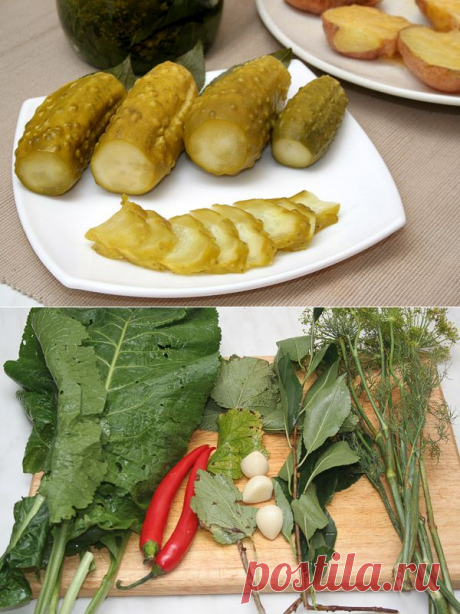 Малосольные огурцы горячего засола — Вкусные рецепты