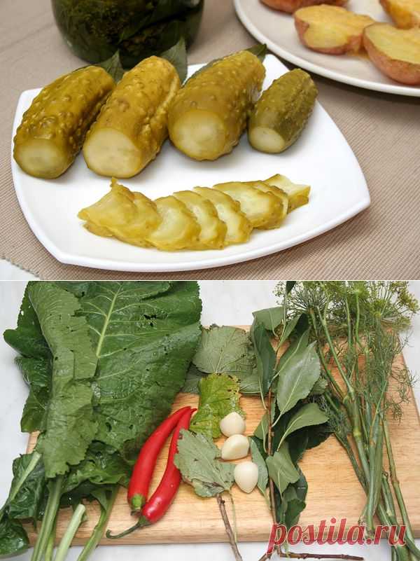 Малосольные огурцы горячего засола — Вкусные рецепты