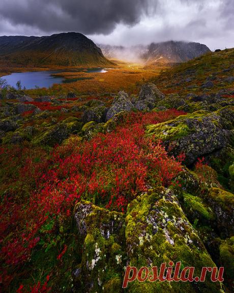 Legendary Scholar — jswanstromphotography: Evening tundra 3 by _KARRR...