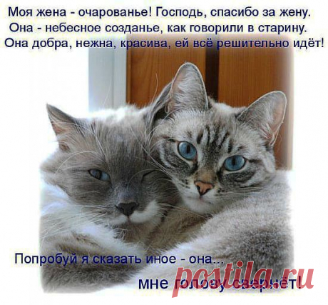 Без слов.......