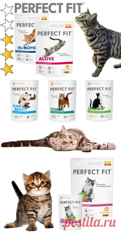 Корм для кошек Perfect Fit (Перфект Фит): виды, состав, отзывы