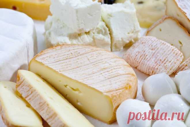 5 богатых на пробиотики продуктов для повышения иммунитета в зимний период | Журнал Harper’s Bazaar