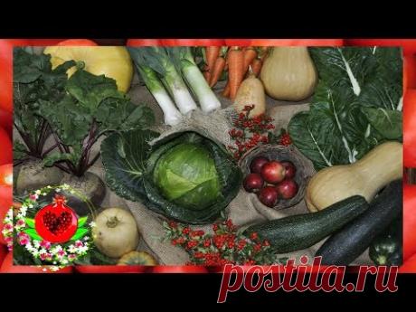 8 щелочных продуктов, которые помогут очистить и удалить все кислоты из вашего организма!
