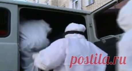 Я на карантине - контактировать родным со мною не разрешают &quot;Полумеры&quot;… | Солана YTour | Яндекс Дзен