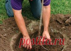 ❀ Молитвы на Пасху. Красота без косметики. Ошибки при посадке. Блюда из баклажанов. Щитовидная железа. Средство для стирки // Кусочек Постилы к чаю! - yma_34@mail.ru - Почта Mail.Ru