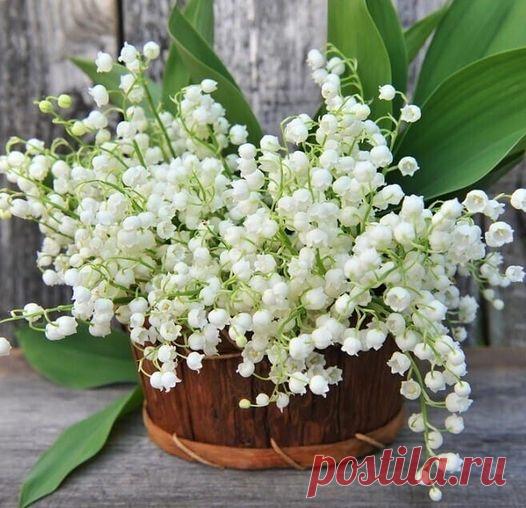 (2) Группы | Facebook