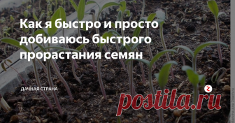 Как я быстро и просто добиваюсь быстрого прорастания семян Дачники — народ неугомонный, постоянно что - то придумывают, экспериментируют и делятся своими советами.  Вот, к вашему вниманию,  очень интересный метод, который позволит вашим семенам прорасти быстро.  Им поделилась  моя соседка по даче .
Делаю так!
В пластиковый контейнер с землей заливаю очень крутого  кипятка!
Потом на очень горячую землю рассыпаю семена , и лишь слегка присыпаю их  землей.