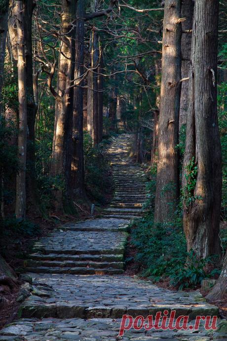 rosiedreams • coiour-my-world: Serenity stairs