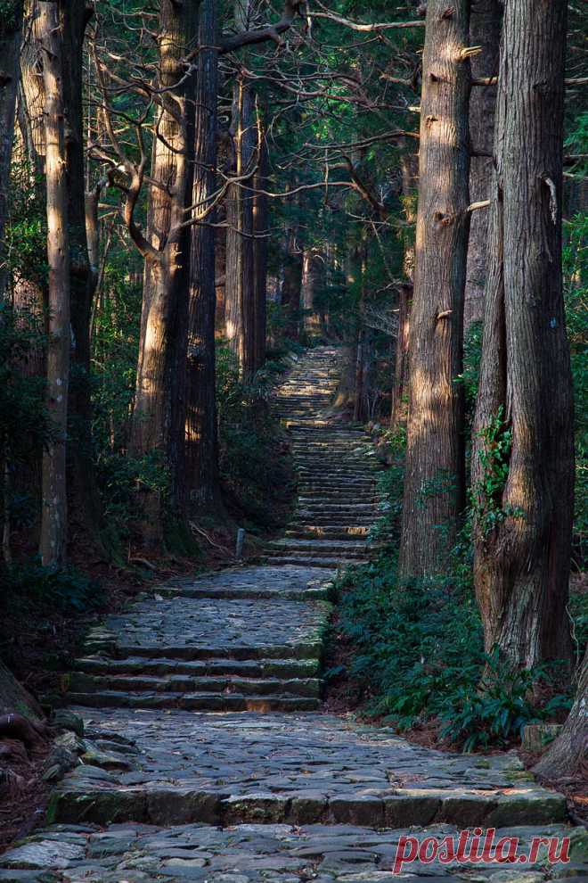 rosiedreams • coiour-my-world: Serenity stairs