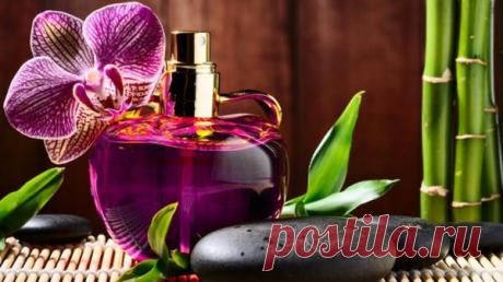 Все для красоты:https://dom-ozhag.mirtesen.ru/blog/43083733453
