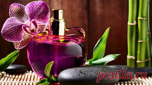 Все для красоты:http://dom-ozhag.mirtesen.ru/blog/43083733453
