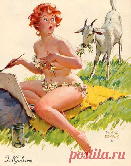 Мой блог: Хильда - очаровательная толстушка