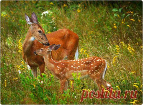 Фотографии Голубая планета - 463 фото в Моем Мире.