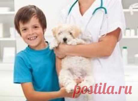 Сегодня 30 апреля отмечается "Международный день ветеринарного врача"