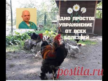 Одно простое упражнение от всех болезней