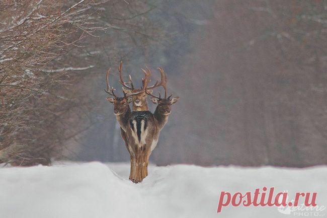 Лучшие фотографии года / Всё самое лучшее из интернета