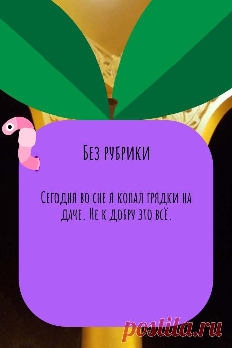 Цитата про «Без рубрики» — Сегодня во сне я копал грядки на даче. Не к добру…