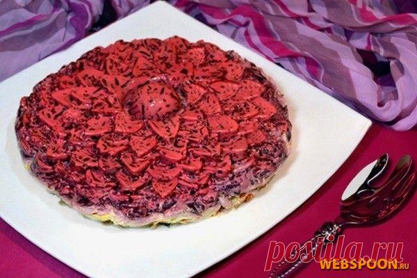 Салат-торт "Селедка под шубой в желе" с фото | Рецепт салата сельдь под шубой на Webspoon.ru