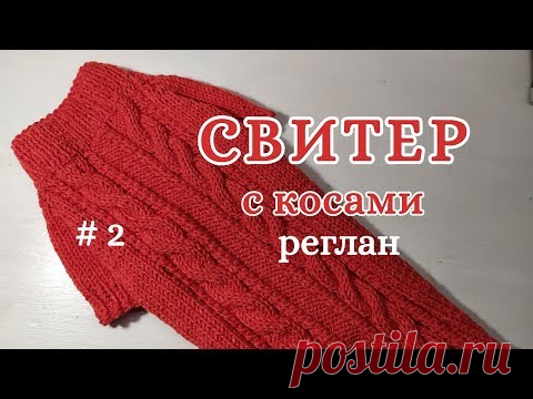 Свитер с косами спицами, часть 2, Реглан, Dog sweater, Raglan