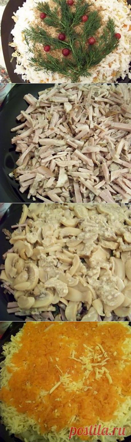 Салат «Рождественская ёлочка» / Мясные салаты / TVCook: пошаговые рецепты c фото