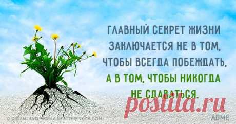 7 правдивых открыток недели: ↪