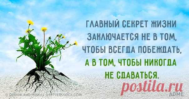 7 правдивых открыток недели: ↪