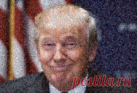 Вы не поверите! Мозаичный портрет Дональда Трампа из мужских членов.