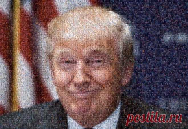 Вы не поверите! Мозаичный портрет Дональда Трампа из мужских членов.