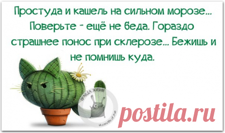 Позитивные фразочки в картинках