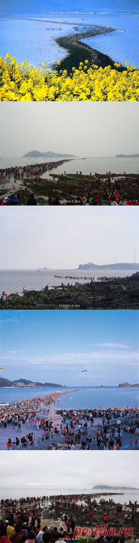 (+1) - И расступилось море.. Корея | Наука и техника