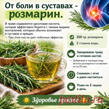 От боли в суставах - розмарин