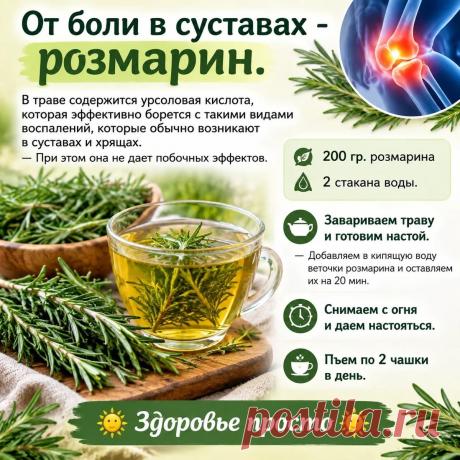 От боли в суставах - розмарин