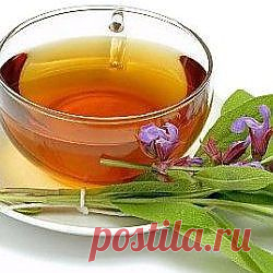 Чай молодости всех времен.