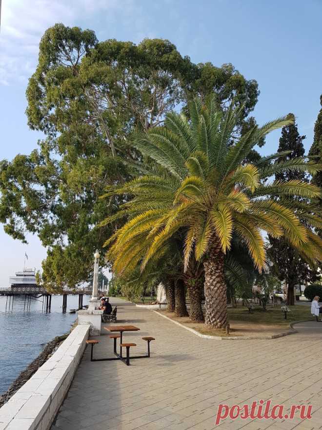 Набережная в Сухуме как принц и нищий. Великолепие и разруха одновременно. | Жизнь и отдых у моря. | Яндекс Дзен