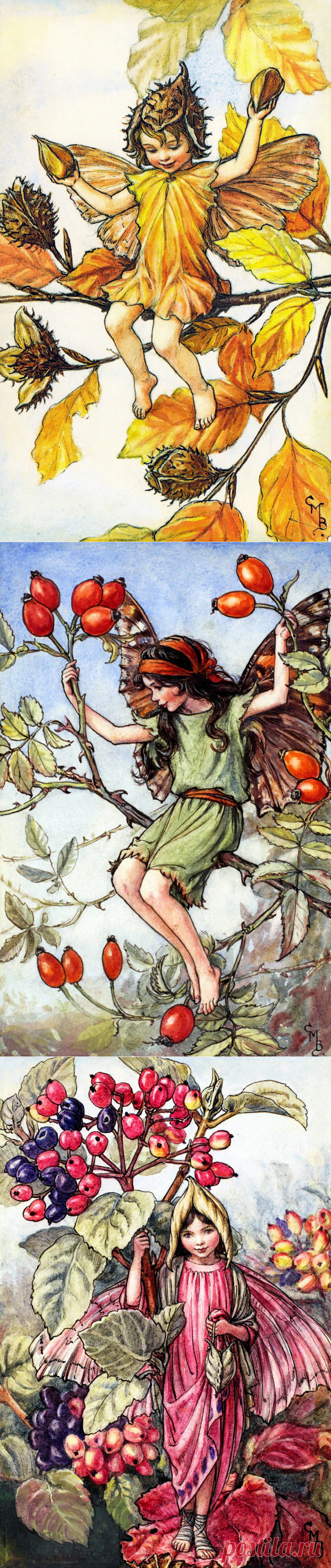 Добро пожаловать в мир Цветочных фей! Художница Cicely Mary Barker. Часть 3.