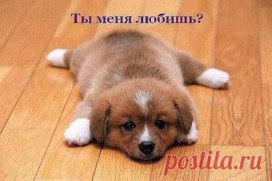 Светлана: Я красивая,интересная,умная, отзывчивая,интеллигентная,добрая, заботливая,Но...Не сегодня...Не сегодня