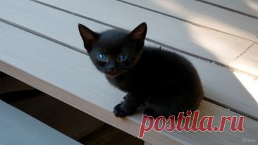 Ценный совет - OGADANIE.RU