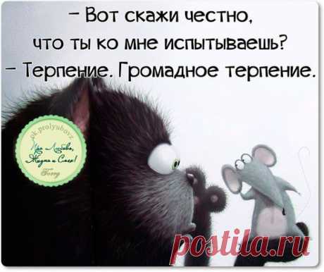 Интересные новости