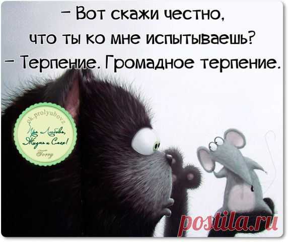 Интересные новости