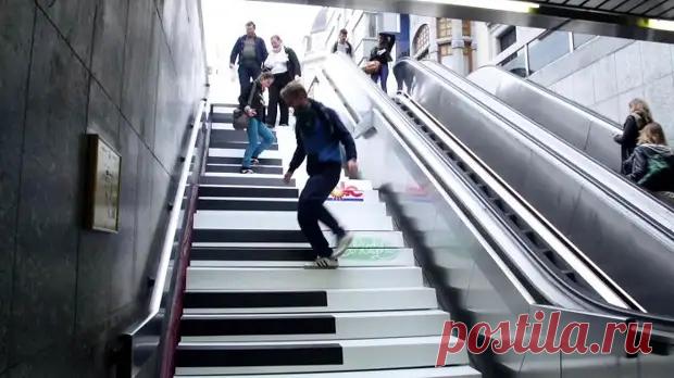 (4) 10 психологических экспериментов о поведении человека, которые открывают неприятную правду о нас - ПолонСил.ру - социальная сеть здоровья - 30 апреля - 43080922534 - Медиаплатформа МирТесен