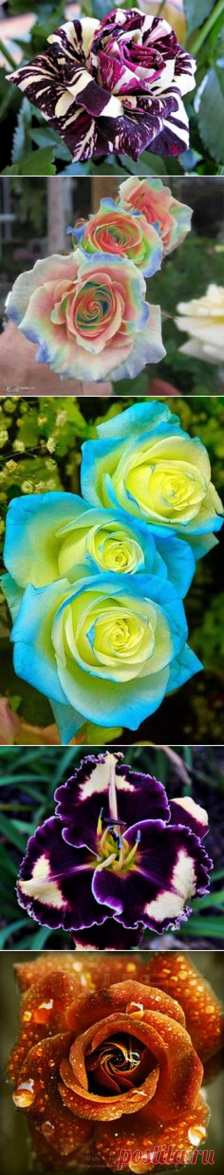 (2) Pinterest: инструмент для поиска и хранения интересных идей
